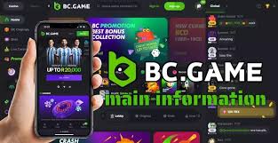 Exploring the Future of Gaming on the BC.Game IT Platform Exploring the Future of Gaming on the BC.Game IT Platform